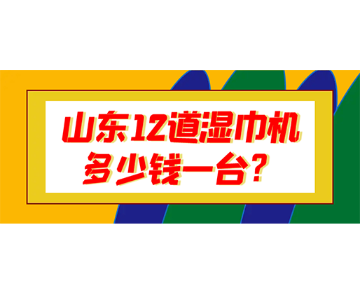 山東12道濕巾機(jī)多少錢一臺(tái)？